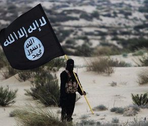 چیستی گروه تکفیری داعش، سازمان رزم و ساختار اقتصادی آن